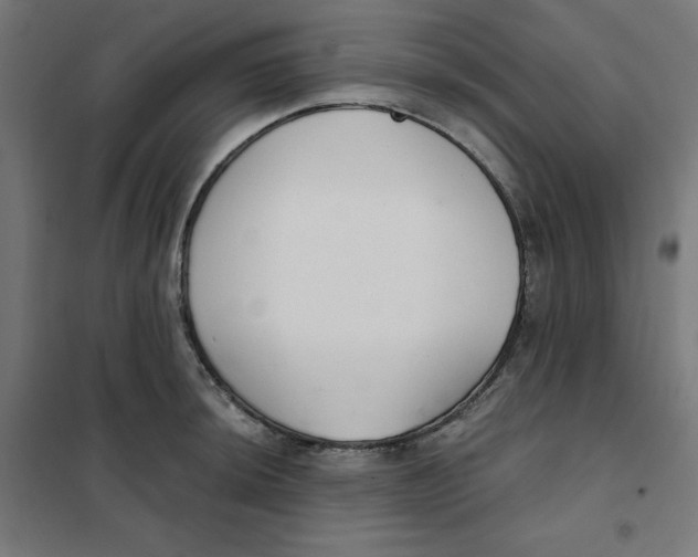 X0000101181044200807250935