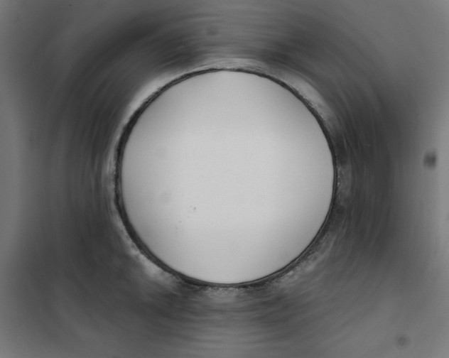 X0000101181046200807250935