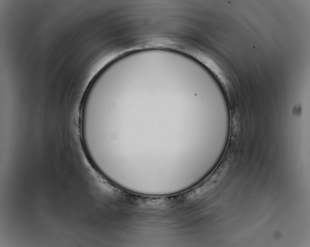 X0000101181047200807250935