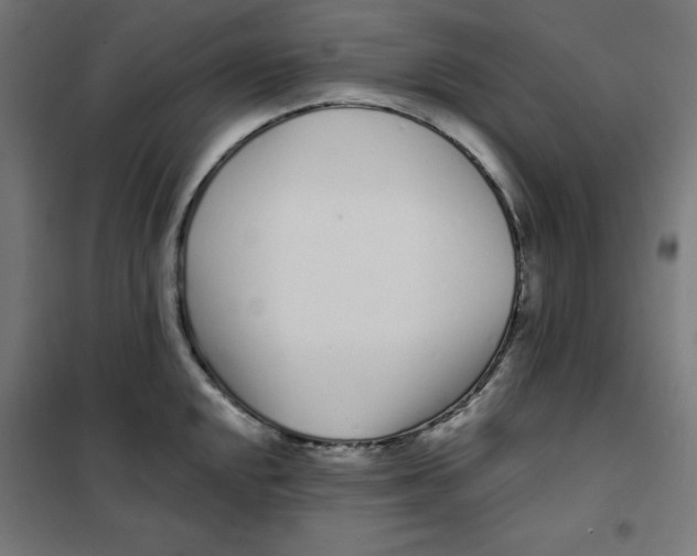 X0000101181048200807250935