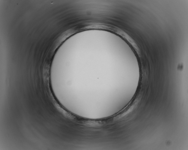 X0000101181049200807250935