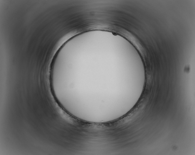 X0000101181050200807250935