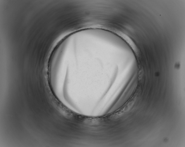 X0000101181051200807250935