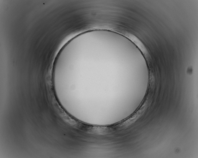 X0000101181052200807250935