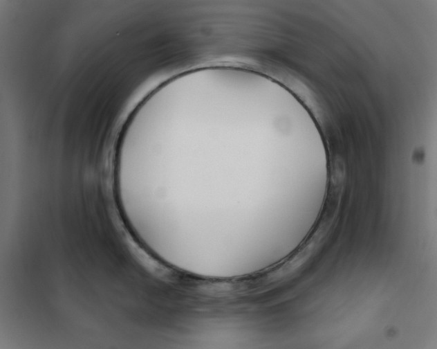 X0000101181054200807250935