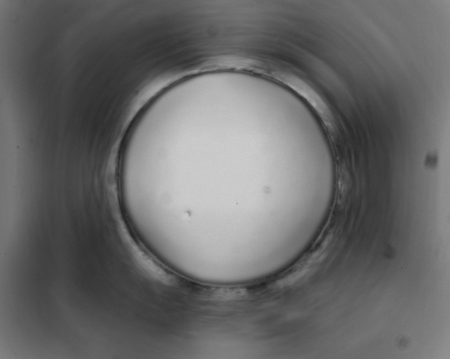 X0000101181055200807250935