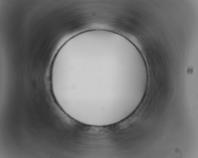 X0000101181056200807250935