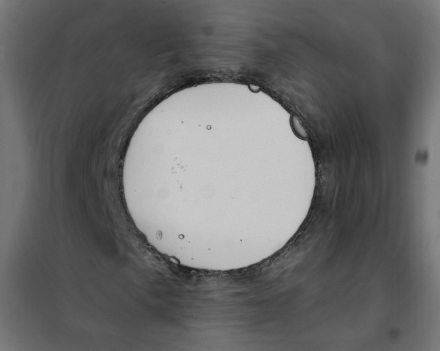 X0000101181057200807250934