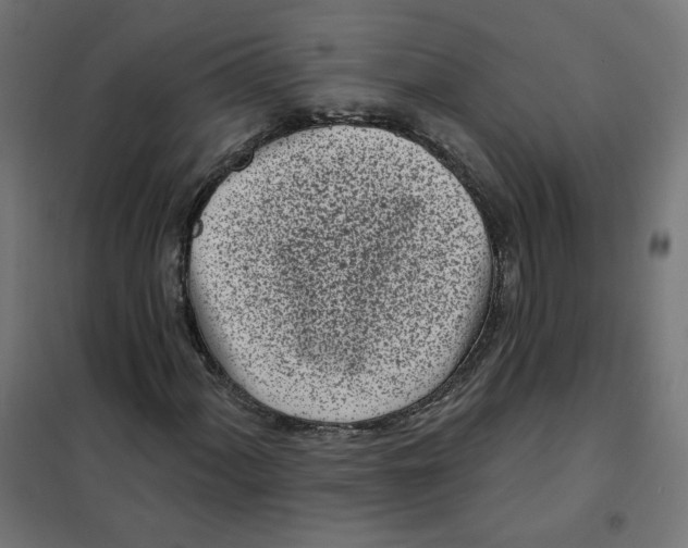 X0000101181060200807250934