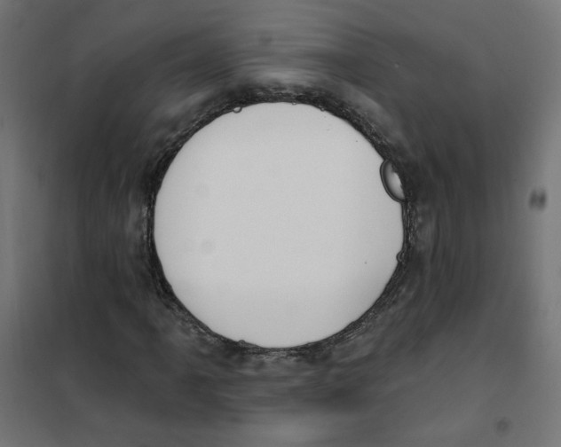 X0000101181061200807250934