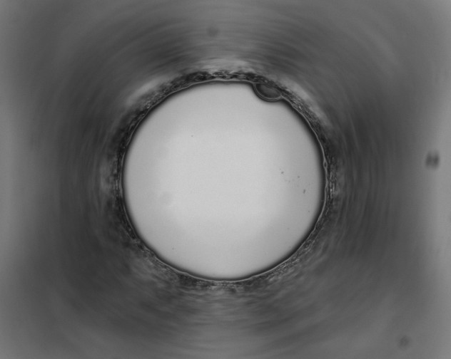 X0000101181063200807250934