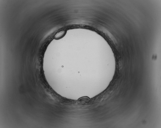 X0000101181064200807250934