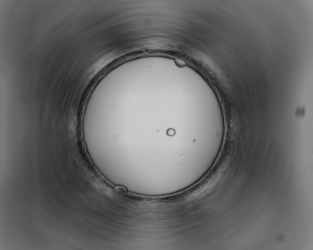 X0000101181065200807250934