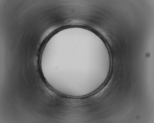 X0000101181066200807250934