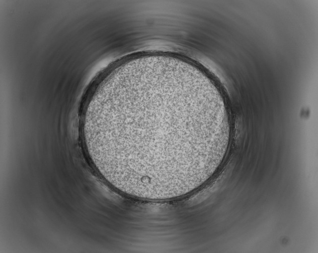 X0000101181067200807250934