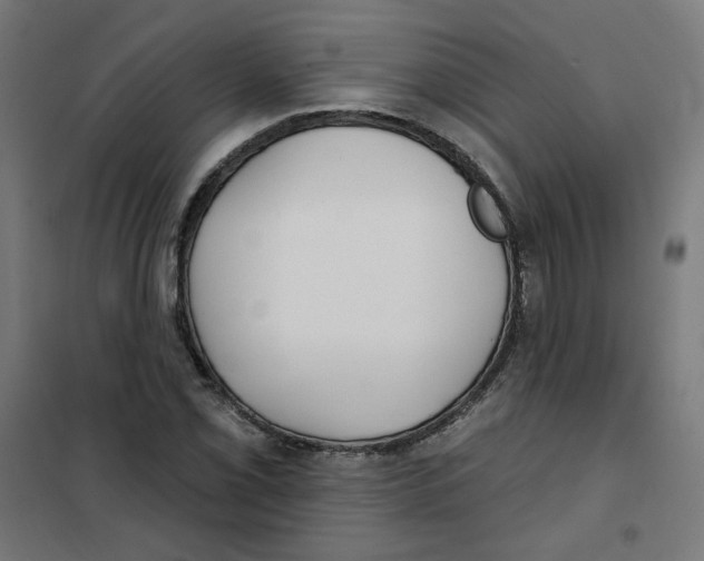 X0000101181069200807250934