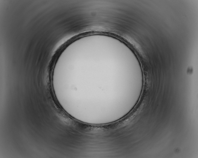 X0000101181070200807250934