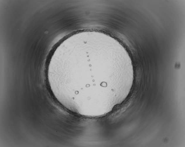 X0000101181071200807250934