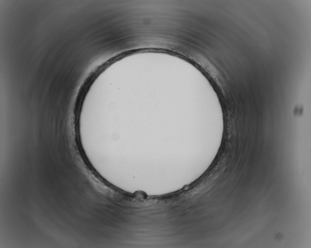 X0000101181072200807250934