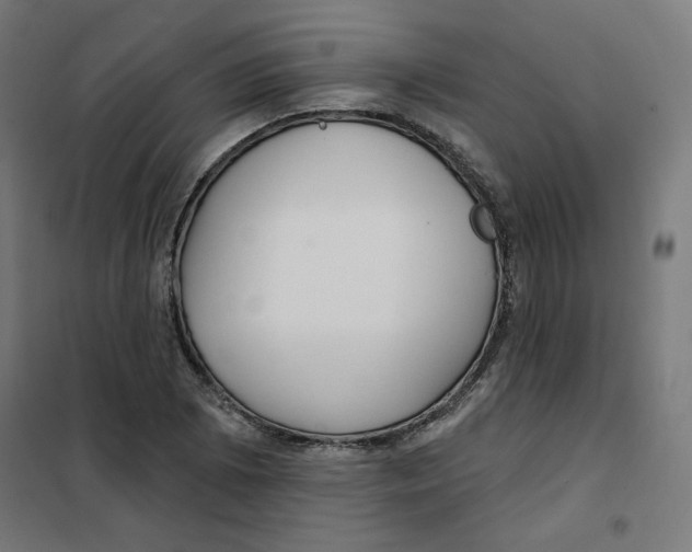 X0000101181073200807250934