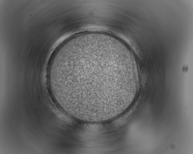 X0000101181074200807250934