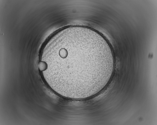 X0000101181075200807250934