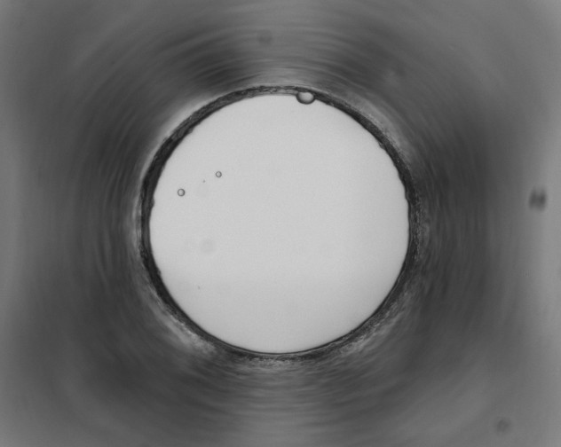 X0000101181076200807250934