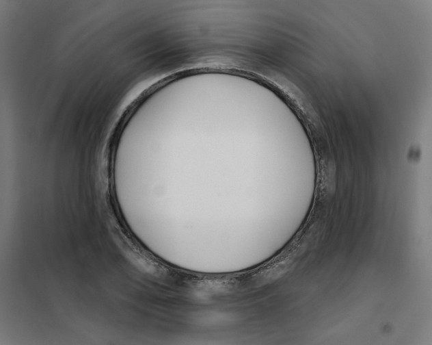 X0000101181078200807250934