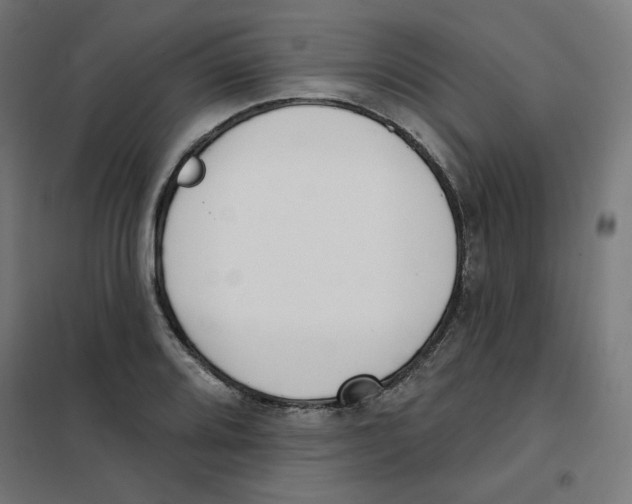 X0000101181080200807250934