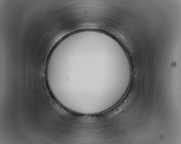 X0000101181081200807250934