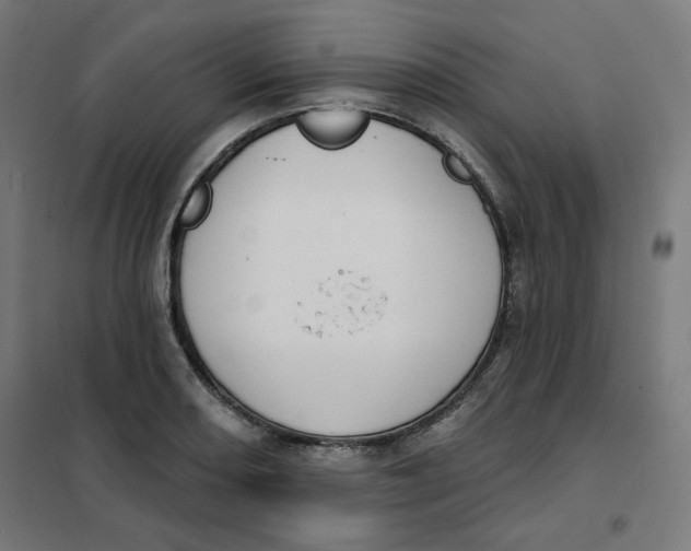 X0000101181082200807250934