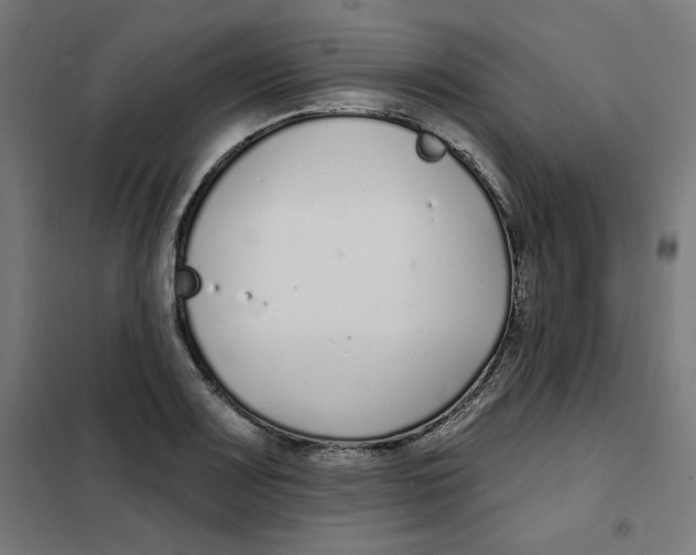 X0000101181083200807250934