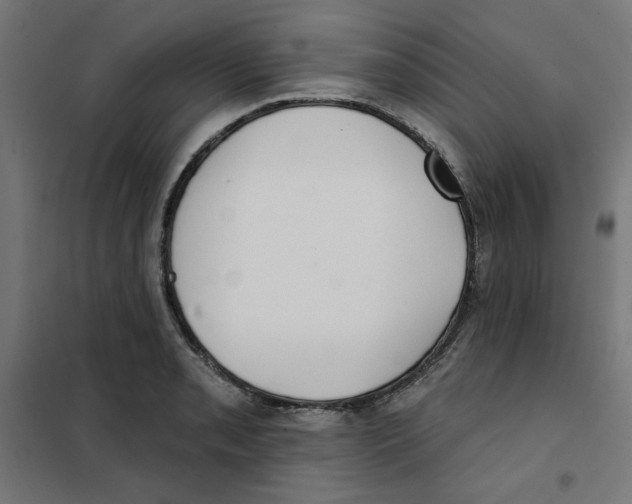 X0000101181085200807250934