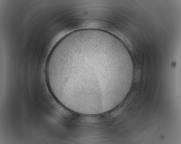 X0000101181086200807250934