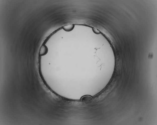 X0000101181088200807250934