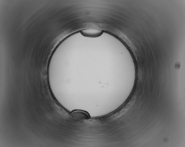 X0000101181089200807250934