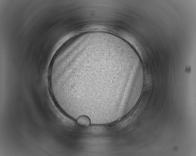 X0000101181090200807250934