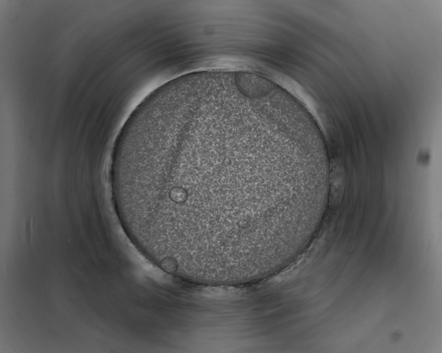 X0000101181091200807250934