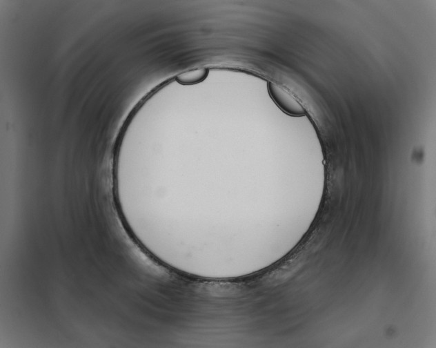 X0000101181092200807250934