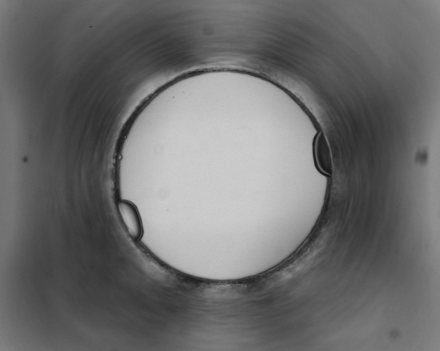 X0000101181093200807250934