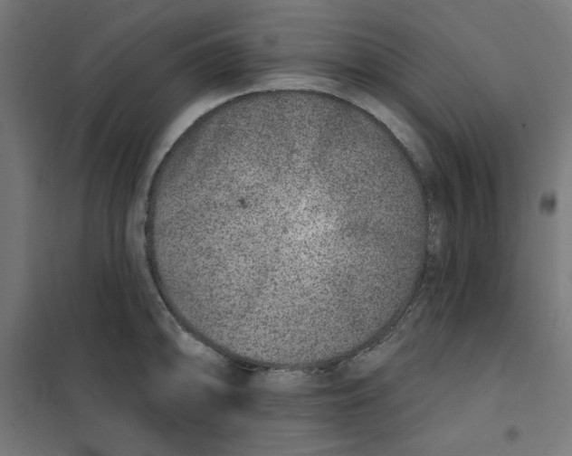 X0000101181094200807250934