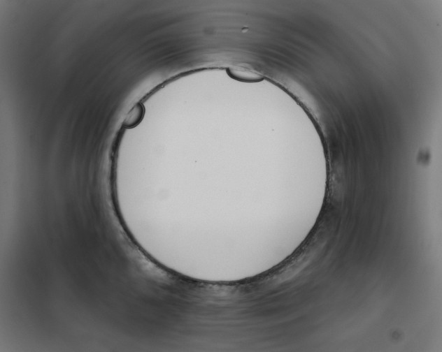 X0000101181096200807250934