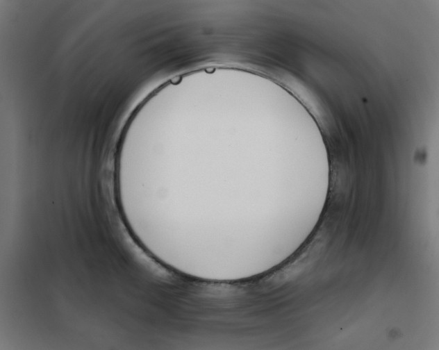 X0000101181100200807250934