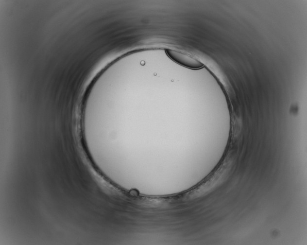 X0000101181101200807250934