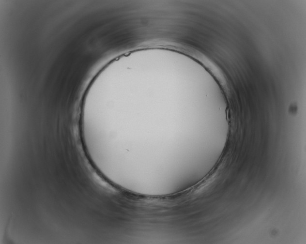 X0000101181102200807250934