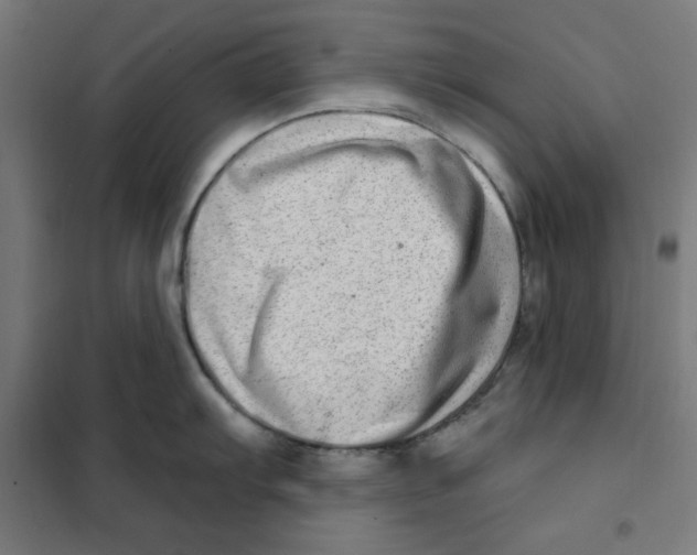 X0000101181103200807250934