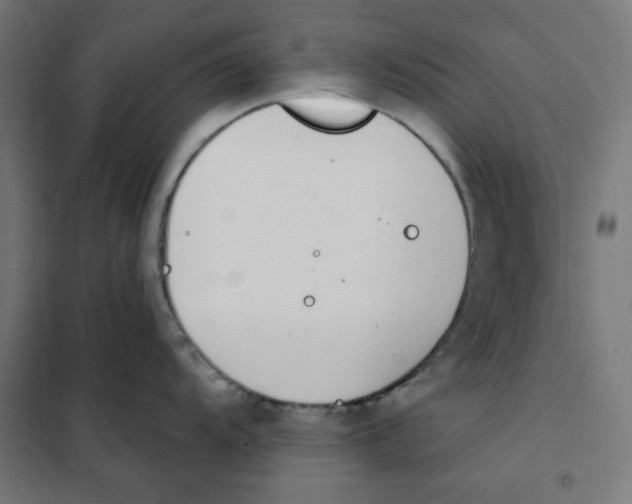 X0000101181104200807250934