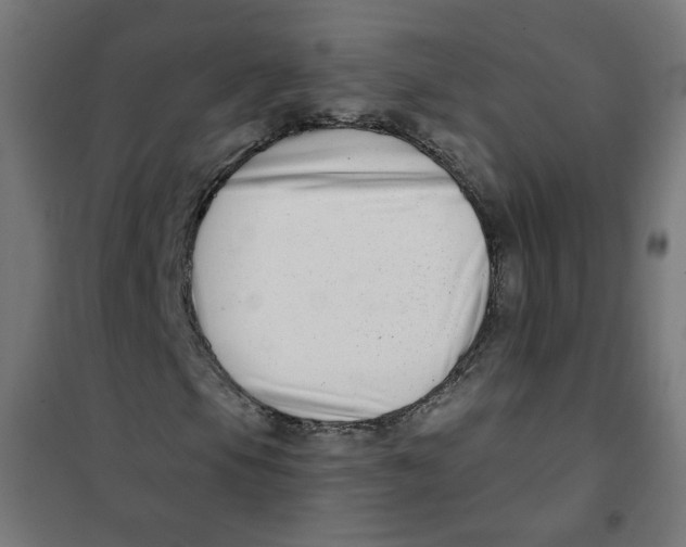 X0000101181105200807250933