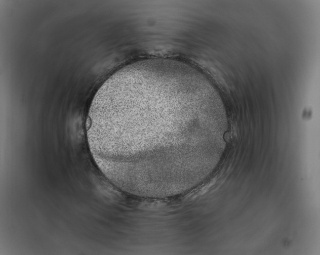 X0000101181106200807250933