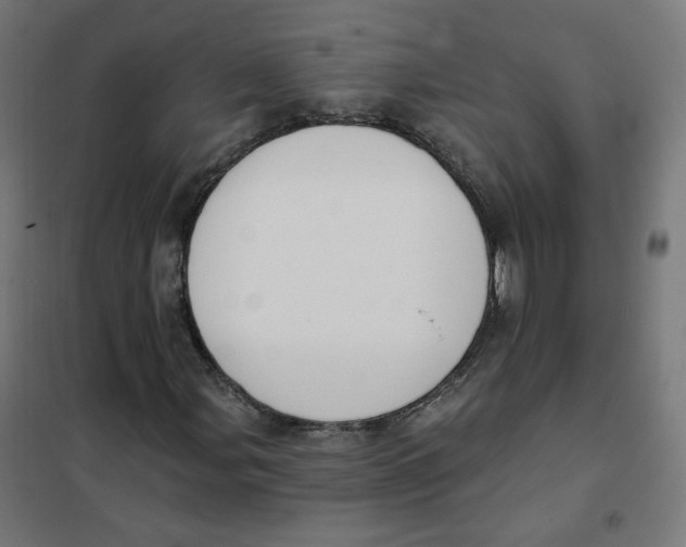 X0000101181107200807250933